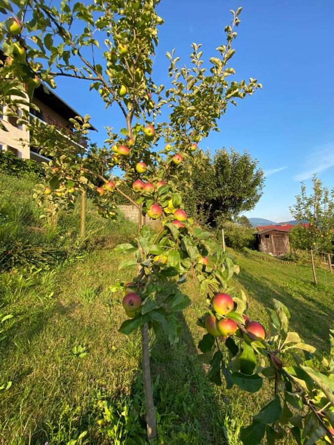 Haus Otis Leilighet Millstatt Eksteriør bilde